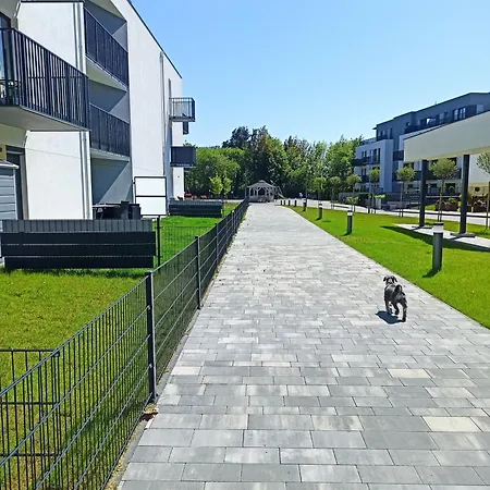 Komfort Alexa Jastrzębia Góra