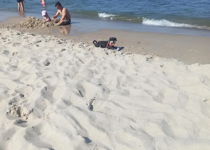 شقة Komfort Alexa *