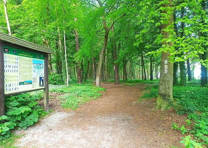 Lägenhet Komfort Alexa Jastrzębia Góra